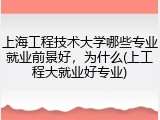 上海工程技术大学哪些专业就业前景好，为什么(上工程大就业好专业)