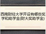 西南财经大学开设有哪些奖学和助学金(财大奖助学金)