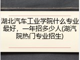 湖北汽车工业学院什么专业最好，一年招多少人(湖汽院热门专业招生)