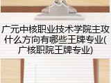 广元中核职业技术学院主攻什么方向有哪些王牌专业(广核职院王牌专业)