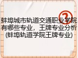 蚌埠城市轨道交通职业学院有哪些专业，王牌专业分析(蚌埠轨道学院王牌专业)