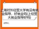 上海对外经贸大学有没有就业指导，好就业吗(上经贸大就业指导好吗)
