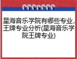 星海音乐学院有哪些专业，王牌专业分析(星海音乐学院王牌专业)