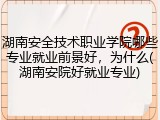 湖南安全技术职业学院哪些专业就业前景好，为什么(湖南安院好就业专业)