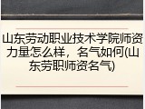 山东劳动职业技术学院师资力量怎么样，名气如何(山东劳职师资名气)