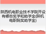 陕西机电职业技术学院开设有哪些奖学和助学金(陕机电职院奖助学金)