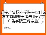 辽宁广告职业学院主攻什么方向有哪些王牌专业(辽宁广告学院王牌专业)
