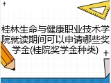 桂林生命与健康职业技术学院就读期间可以申请哪些奖学金(桂院奖学金种类)