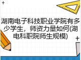 湖南电子科技职业学院有多少学生，师资力量如何(湖电科职院师生规模)