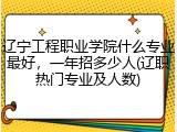 辽宁工程职业学院什么专业最好，一年招多少人(辽职热门专业及人数)