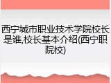 西宁城市职业技术学院校长是谁,校长基本介绍(西宁职院校)