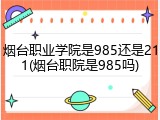烟台职业学院是985还是211(烟台职院是985吗)