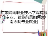 广东岭南职业技术学院有哪些专业，就业前景如何(岭南职院专业就业)