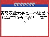 青岛农业大学是一本还是本科第二批(青岛农大一本二本)