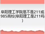 阜阳理工学院是不是211或985高校(阜阳理工是211吗)