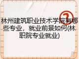 林州建筑职业技术学院有哪些专业，就业前景如何(林职院专业就业)