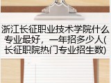 浙江长征职业技术学院什么专业最好，一年招多少人(长征职院热门专业招生数)