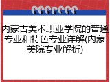 内蒙古美术职业学院的普通专业和特色专业详解(内蒙美院专业解析)