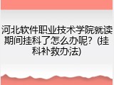 河北软件职业技术学院就读期间挂科了怎么办呢？(挂科补救办法)