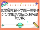 武汉城市职业学院一般要多少分才能录取(武汉职院录取分数)