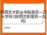 陕西艺术职业学院是双一流大学吗?(陕西艺职是双一流吗)