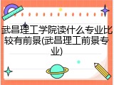 武昌理工学院读什么专业比较有前景(武昌理工前景专业)
