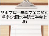 丽水学院一年奖学金最多能拿多少(丽水学院奖学金上限)