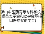 保山中医药高等专科学校有哪些奖学金和助学金呢(保山医专奖助学金)