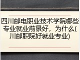 四川邮电职业技术学院哪些专业就业前景好，为什么(川邮职院好就业专业)