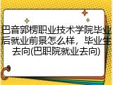 巴音郭楞职业技术学院毕业后就业前景怎么样，毕业生去向(巴职院就业去向)