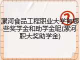 漯河食品工程职业大学有哪些奖学金和助学金呢(漯河职大奖助学金)