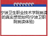 宁波卫生职业技术学院就读的真实感觉如何(宁波卫职院就读体验)