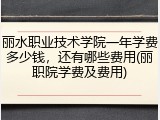 丽水职业技术学院一年学费多少钱，还有哪些费用(丽职院学费及费用)