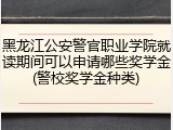 黑龙江公安警官职业学院就读期间可以申请哪些奖学金(警校奖学金种类)