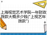 上海视觉艺术学院一年财政拨款大概多少钱("上视艺年拨款")