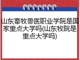 山东畜牧兽医职业学院是国家重点大学吗(山东牧院是重点大学吗)