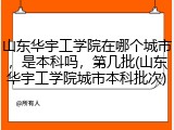 山东华宇工学院在哪个城市，是本科吗，第几批(山东华宇工学院城市本科批次)