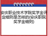 安庆职业技术学院奖学金评定细则是怎样的(安庆职院奖学金细则)