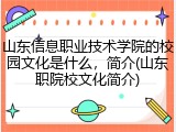 山东信息职业技术学院的校园文化是什么，简介(山东职院校文化简介)