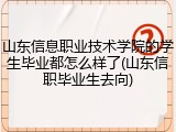 山东信息职业技术学院的学生毕业都怎么样了(山东信职毕业生去向)