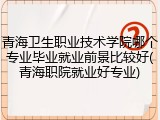 青海卫生职业技术学院哪个专业毕业就业前景比较好(青海职院就业好专业)