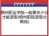 梧州职业学院一般要多少分才能录取(梧州职院录取分数线)
