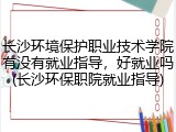 长沙环境保护职业技术学院有没有就业指导，好就业吗(长沙环保职院就业指导)