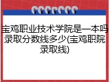 宝鸡职业技术学院是一本吗录取分数线多少(宝鸡职院录取线)