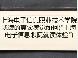 上海电子信息职业技术学院就读的真实感觉如何("上海电子信息职院就读体验")