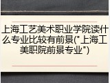 上海工艺美术职业学院读什么专业比较有前景("上海工美职院前景专业")