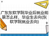广东东软学院毕业后就业前景怎么样，毕业生去向(东软学院就业去向)