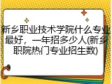 新乡职业技术学院什么专业最好，一年招多少人(新乡职院热门专业招生数)