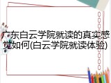 广东白云学院就读的真实感觉如何(白云学院就读体验)