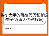 鲁东大学的院校代码和邮编是多少(鲁大代码邮编)